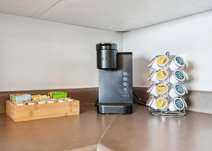 Mich Ave Downtown 2bd, Grant Park Museums #25 Appartement